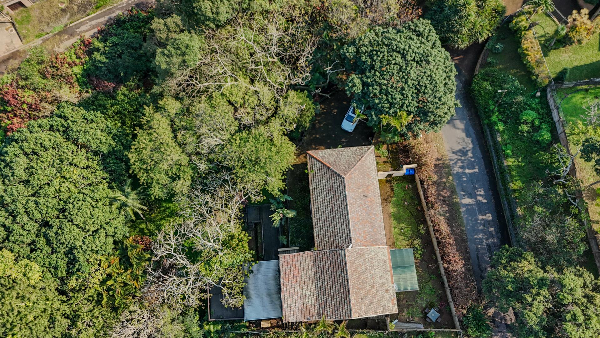 753222_dji_fly_20250724_105636_0236_1753429429137_photo.jpg